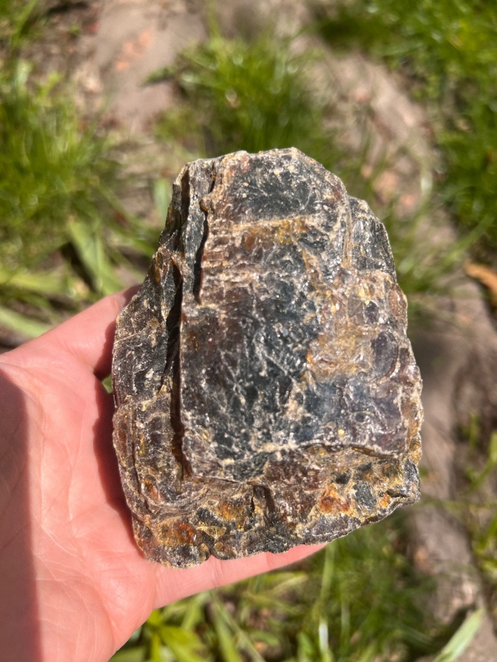 Amber (2) specimen | Crystal